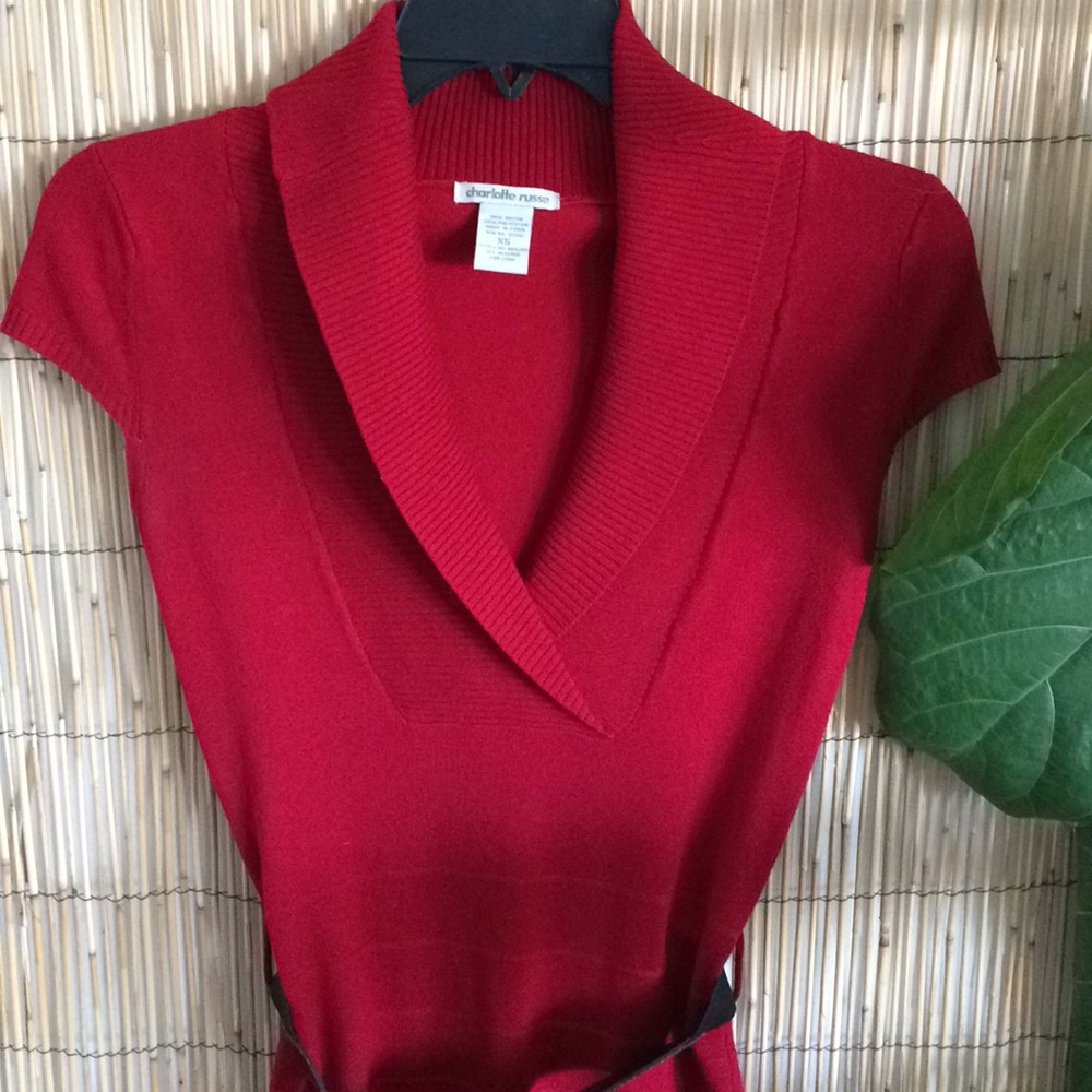 ๐ฅNWOT Belted Sweater Dress๐ฅ - Picture 7 of 7